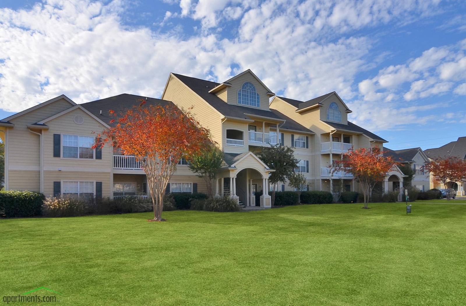 Camellia Trace Apartments in Jackson, TN